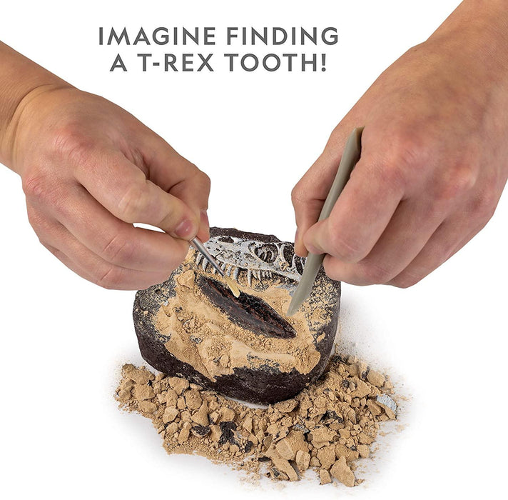 NG Dino Dig Kit - LX2001 - Homewares, Outdoor, Phone Accessories, Cases, Speakers, Headphones + More -