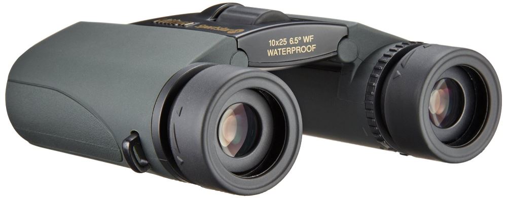 Nikon Sportstar EX 10X25 D CF Binoculars BAA711AA