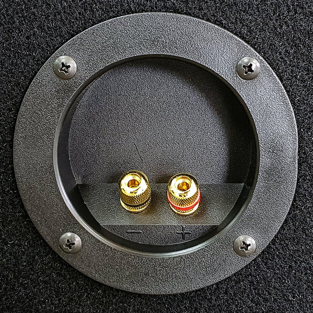 RAPTOR SUBWOOFER BOX FOR 2 x 10