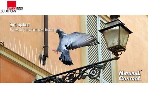 Swissinno Bird Spikes 1720001 - LX2001 - Homewares, Outdoor, Phone Accessories, Cases, Speakers, Headphones + More -