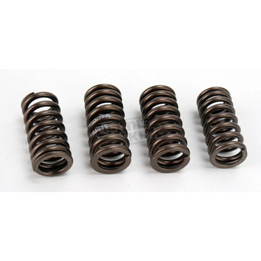HOT CAMS HEAVY DUTY VALVE SPRING KIT CRF250R 10-15 - LX2001 - Homewares, Outdoor, Phone Accessories, Cases, Speakers, Headphones + More -