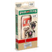 Pass the Pugs - Dog Puppy Pugs - LX2001 - Homewares, Outdoor, Phone Accessories, Cases, Speakers, Headphones + More -