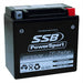 Motorcycle motorbike battery (RTX14L-BS) AGM 12V 12AH 290CCA BY SSB - LX2001 - Homewares, Outdoor, Phone Accessories, Cases, Speakers, Headphones + More -